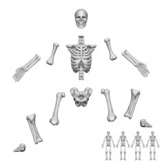 1/48 Resin Positionable Human Skeletons for Dioramas