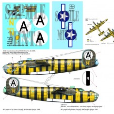Decals for 1/48 USAAC B-24D Lemon Drop