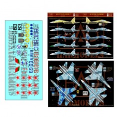 Decals for 1/48 Russian/Ukraine/Belarus Su-27 UB
