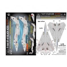 1/48 F-14A VF-41 Black Aces "The Final Countdown" Decal Sheet