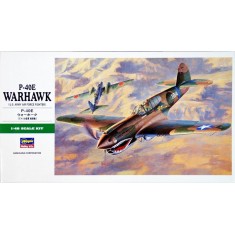 1/48 USAF Fighter P-40E Warhawk