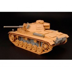 1/48 Flammpanzer Pz III Ausf Convers Set