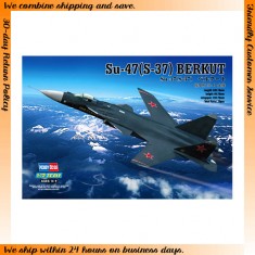 1/72 Sukhoi Su-47 (S-37) Berkut