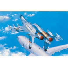 1/48 PLA Shenyang J-11B