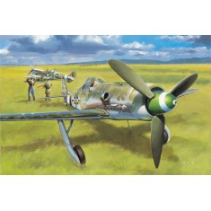 1/48 Focke-Wulf Fw190D-13