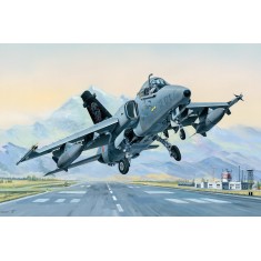 1/48 AMX Ground Attack Aircraft A-11A Ghibli