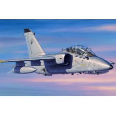 1/48 AMX A-11B Trainer