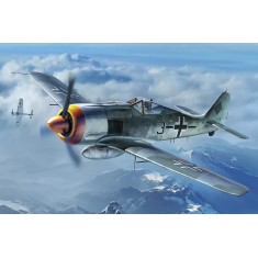 1/48 Focke-Wulf FW190A-8 Fighter