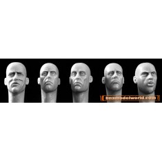 1/35 5x Different Heads with European Faces (Gaunt or Battleweary)