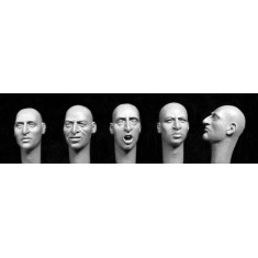 1/35 5x Heads with Disturbed Expressions