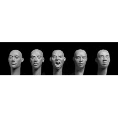 1/35 5x Different Heads with Central Asian Features, Cropped Hair