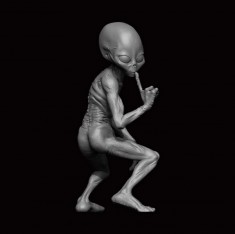 1/24 Grey Alien #02