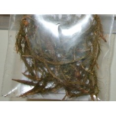 1/48, 1/35 (54mm, 120mm) Bush Fine Twigs