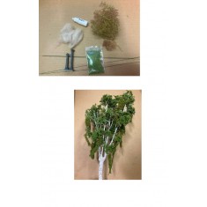 1/48 Birch Tree Set