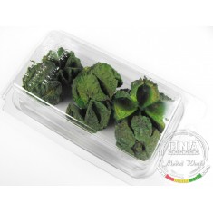 Basic Green Nut for Vegetation for all scales