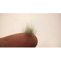 1/48 - 1/6 Winter Coloured Grass Tufts 4.5 - 12 mm