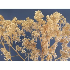1/35, 1/48, 1/72 Twigs with Brown Leaves