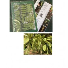 1/72-1/76 Banana Leaf