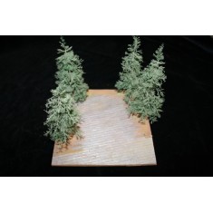 1/72 - 1/87 Airfield Spot (psp) "Pines"