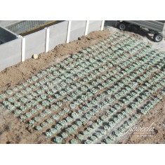 1/120 1/160 White Cabbage Field, 360 Plants