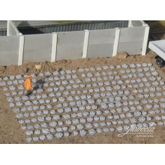 1/120 1/160 Red Cabbage Field, 360 Plants