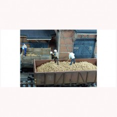 1/45 1/50 Potatoes (100g)