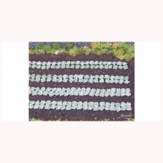 1/87 (HO scale) Green Cabbage Plants (220pcs)