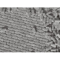 1/87 Granite Wall Stones (250pcs)