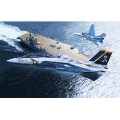 1/72 Grumman F-14A Tomcat "Jolly Rogers"