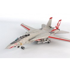 1/72 Grumman F-14A Tomcat "Sundowners"