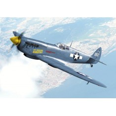 1/72 Supermarine Spitfire PR. Mk.XI ''USAAF''