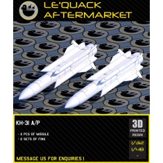 1/32 Kh-31A/P Air-to-Surface Missile