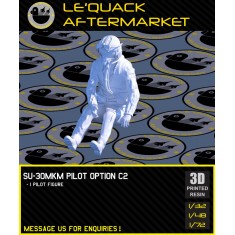 1/32 Su-30MKM Pilot (1 figure) Pose #C2