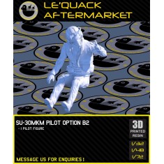 1/48 Su-30MKM Pilot (1 figure) Pose #B2