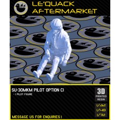 1/72 Su-30MKM Pilot (1 figure) Pose #C1