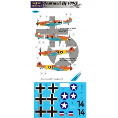 1/48 Captured Bf 109G Part I. 2 Decal Options for Hasegawa kit