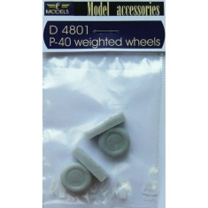 1/48 Curtiss P-40 Bulged Wheels