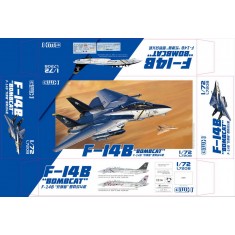 1/72 Grumman F-14B "Bombcat"