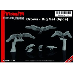 1/24 Crows