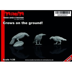 1/35 Crows On The Ground
