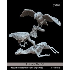 1/35 Birds of Prey and Rabbits Set #56