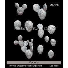 1/35 Miniatures Opuntia