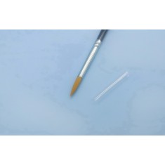 Round Paint Brush #6