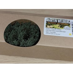 Bushes with Fine Leaves #Olive Green Type C (10pcs, Grass length 40-50mm)