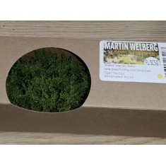 Bushes with Fine Leaves #Spring Green Type C (10pcs, Grass length 40-50mm)