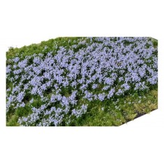 Layered Grass Tufts - Lavender Flowers (210 x 150 mm, height: 2-4.5mm)