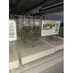 Small Tree # Olive Green 2 (3pcs, each 60-80mm)