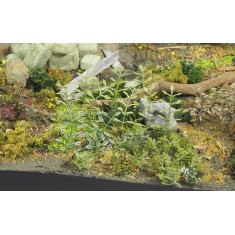 1/35 Plants & Weeds #B