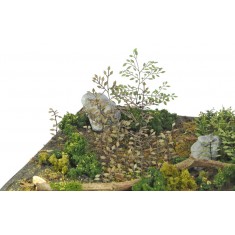 1/35 Plants & Weeds #C