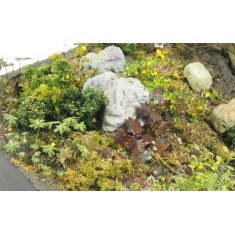 1/35 Plants & Weeds #D